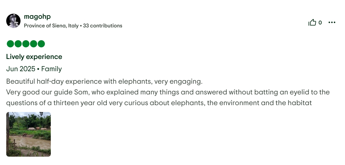 pon elephpant chiangmai thailand reviews